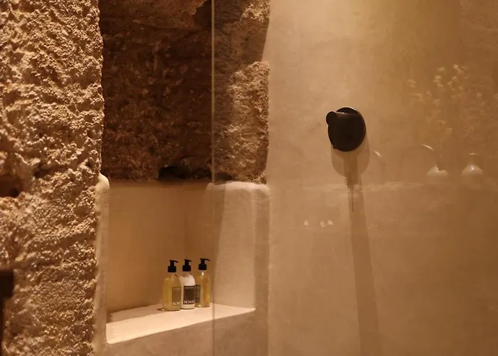 Hotel Espacio Biocompatible - Raiz