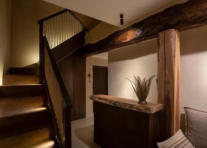 Hotel Espacio Biocompatible - Raiz Requena